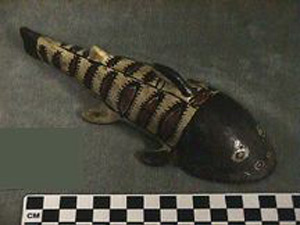 Thumbnail of Festival Serving Vessel: Catfish Effigy (1997.15.0058)