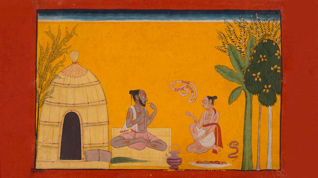 The Story of V&amacr;lm&imacr;k&imacr; R&amacr;m&amacr;yana