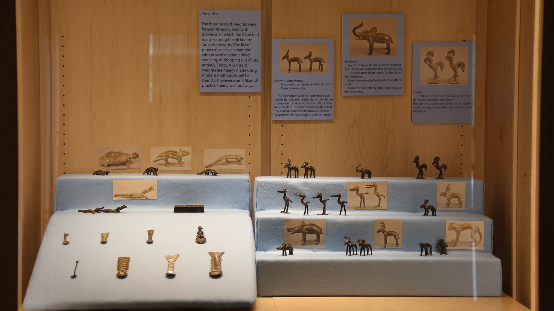 full shot of right case with many animal figures and other figures