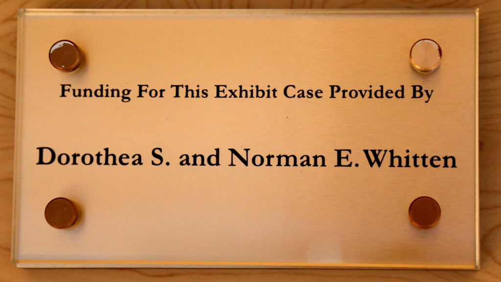 close-up of the sponsor of the exhibit case, reads: 'funding for this exhibit case provided by Dorothea S. and Norman E. Whitten'