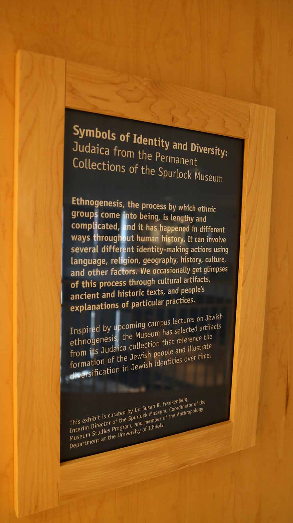 symbols of identity and diversity