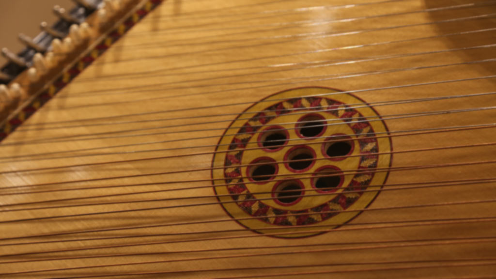 close-up of the middle of the instrument's body, showing several holes with strings over it