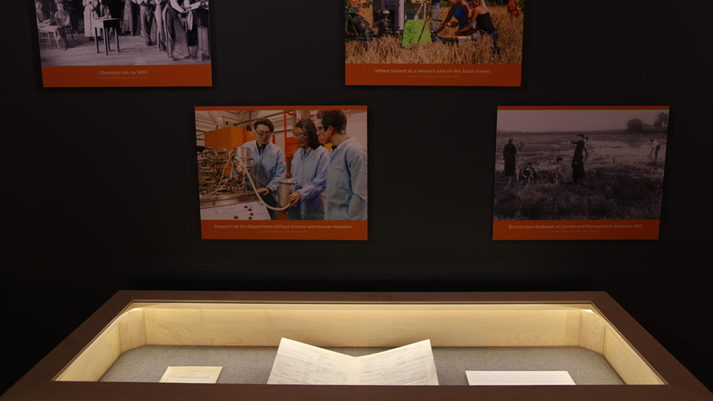 close-up of the pictures on the wall
