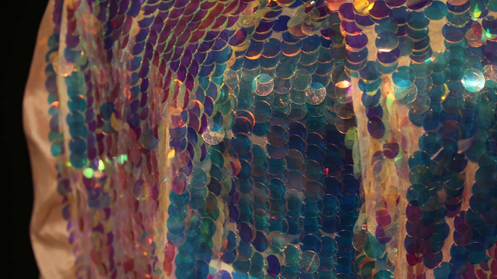 closeup of sequined costume