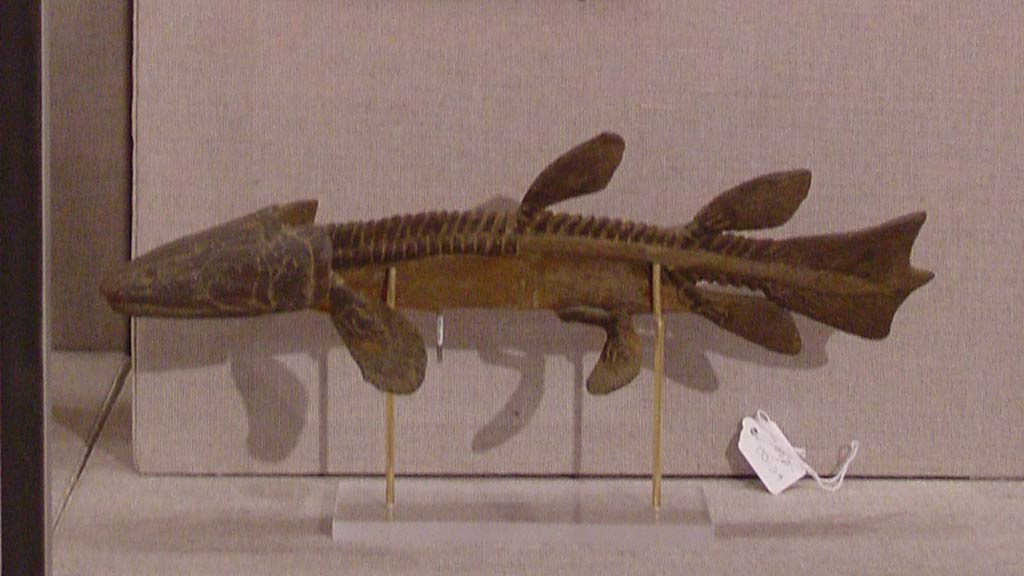 fish bone